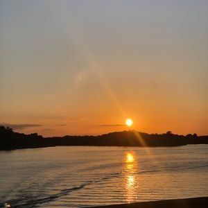 Meet your Posher, Lily